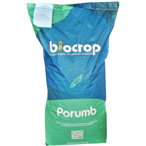 Porumb Torrano 80.000 sem FAO 350