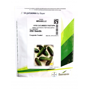 Castraveti Mirabelle F1 - 250 sem.