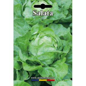 Salata Hilde - 10gr