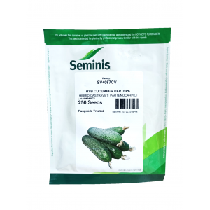 Castraveti cornichon SV4097CV F1 - 250 sem.