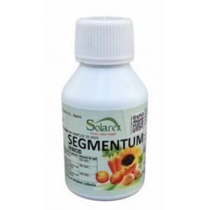 Segmentum - 100 ml