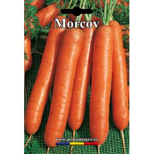 Morcov Nantes - 10gr