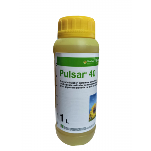 Pulsar - 1L