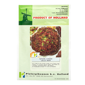 Salata creata Lollo Rossa - 10gr