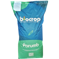 Porumb Torrano 80.000 sem.